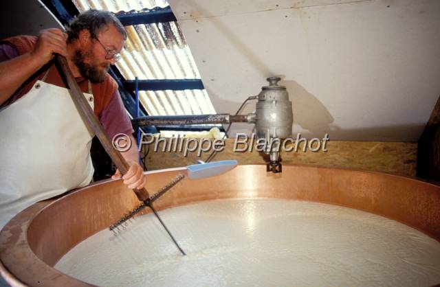 tomme de savoie 12.JPG - Fabrication de la tomme de SavoieAlpageMassif des BaugesSavoieFrance